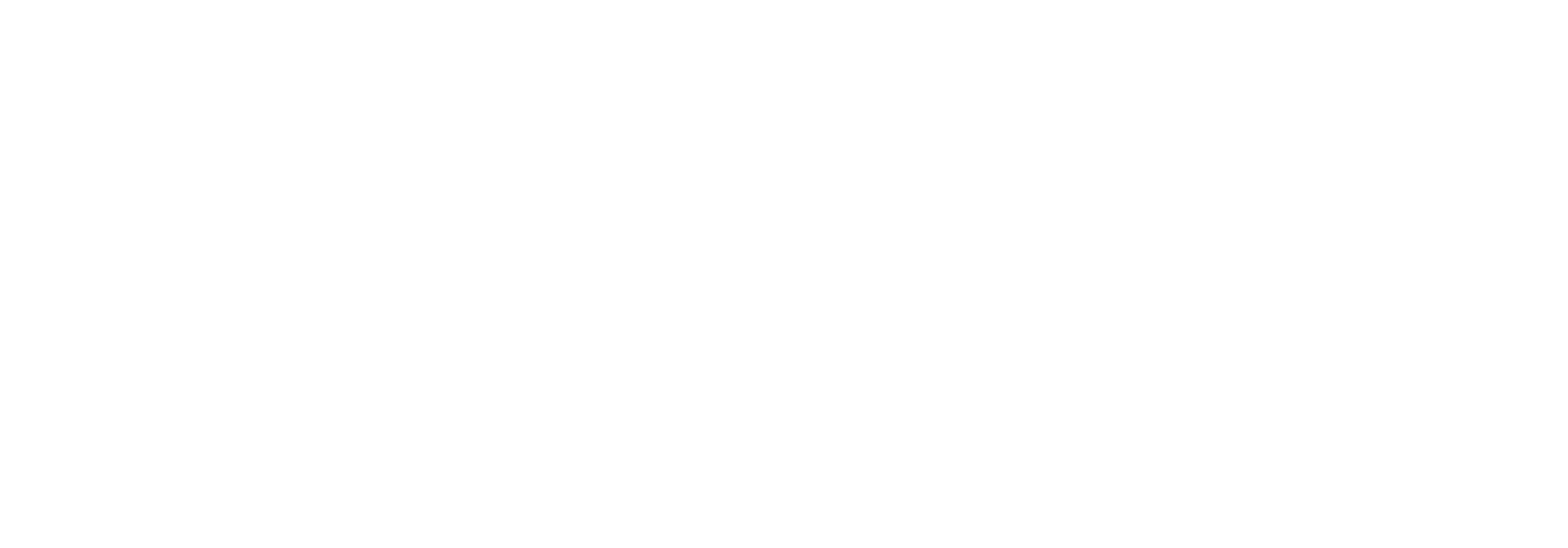 Partner 6